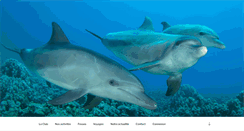 Desktop Screenshot of dolphinclub10.fr